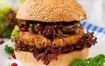 CHICKEN BURGER with CRANBERRY SAUCE